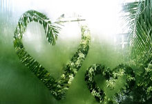 呼天抢地打一最佳生肖，揭晓标准词语答案